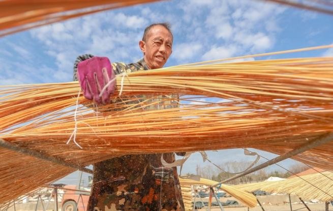 浙江長(zhǎng)興：竹子加工助力鄉(xiāng)村振興